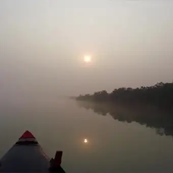 Sundarban National Park Image