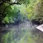 Sundarban 2 Nights 3Days Tour Icon