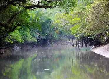 Sundarban 2 Nights 3 Days Tour Image